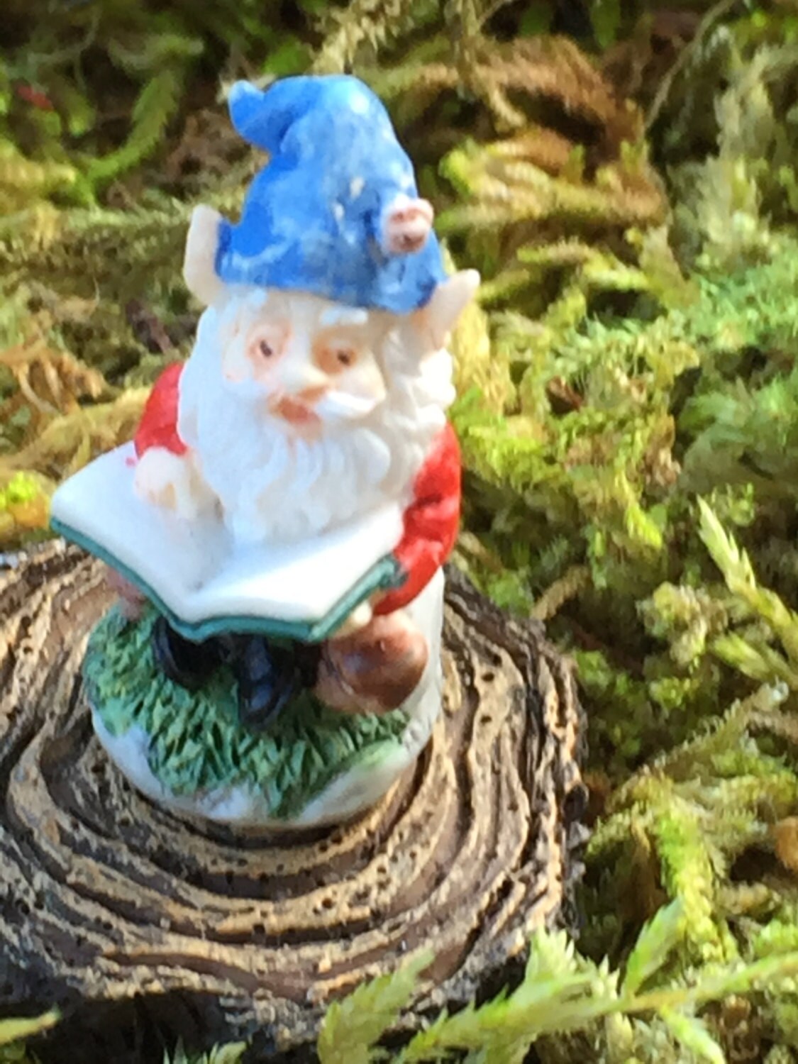 Miniature Gnome, Dollhouse Garden Gnome, Mini Gnome Reading, Dollhouse Miniature, 1:12 Scale