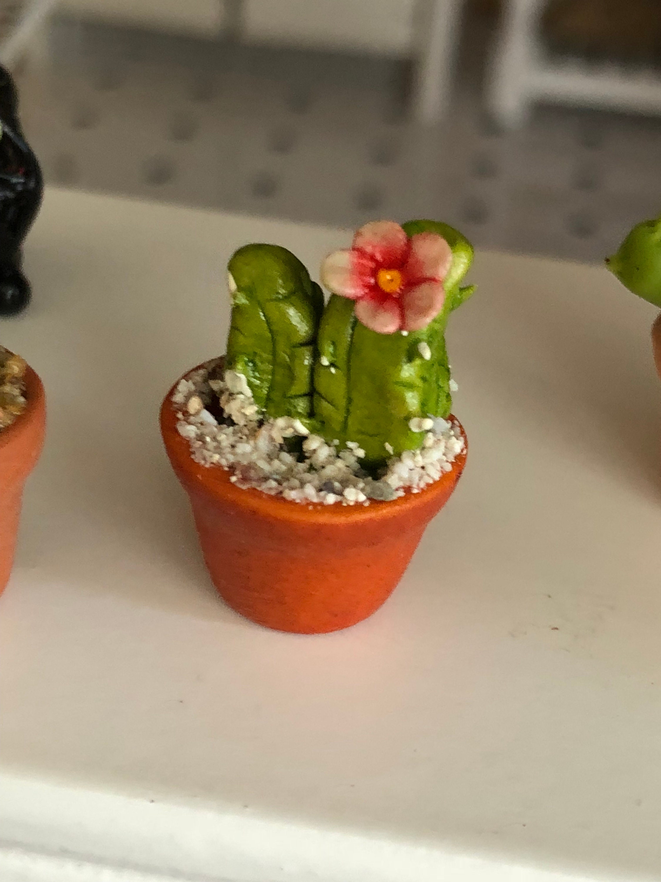 Miniature Cactus, Flowering Cactus in Clay Flower Pot, Style #01 ...