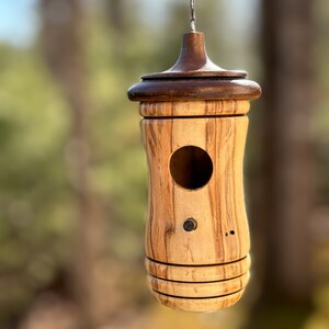 Ambrosia Maple Hummingbird Birdhouse, Rustic Garden Indoor Outdoor Decor, Gift for Bird Lovers Spring Gift, OOAK