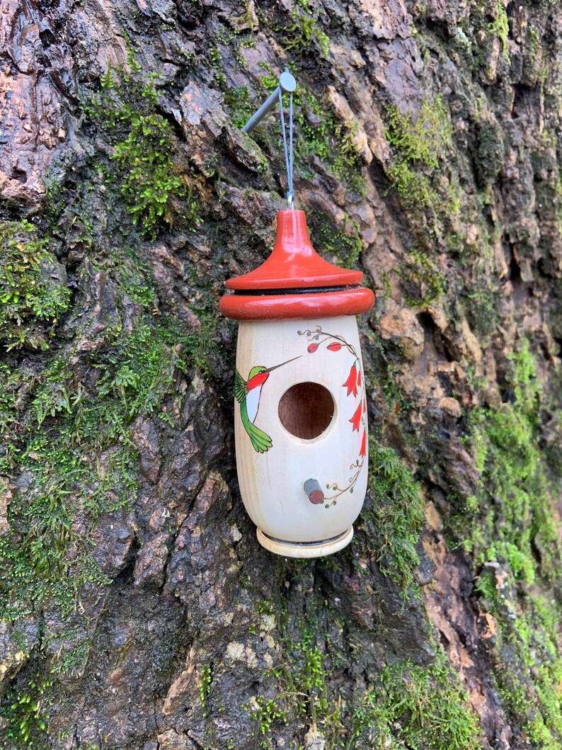 May include: A decorative wooden birdhouse with a red roof and a painted hummingbird design. The birdhouse is cylindrical with a round entrance hole and is hanging from a metal hook. The background is a tree trunk covered in moss.
