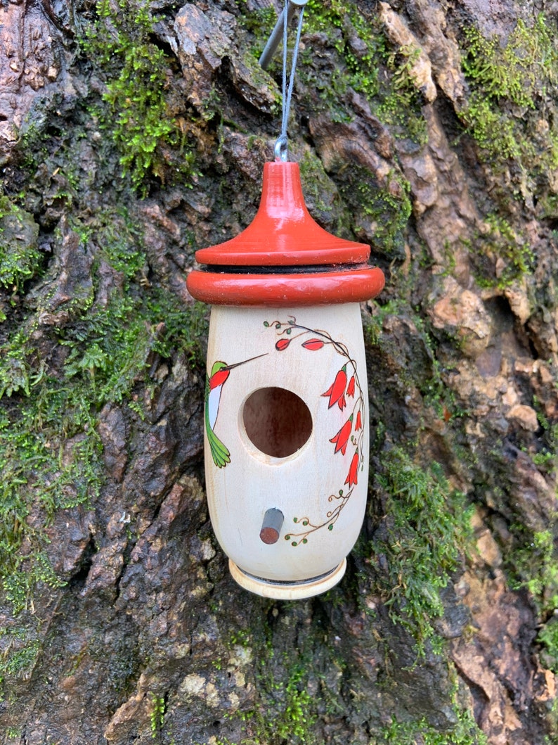 May include: A wooden birdhouse with a red roof and a cream-colored body. The birdhouse is decorated with a hummingbird and red flower illustrations. It hangs from a metal wire against a mossy tree trunk.
