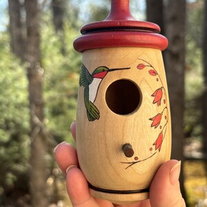 May include: A wooden birdhouse with a red top and a hummingbird painted on the side. The birdhouse has a round opening and a small wooden perch. The hummingbird is green, red, and white. The birdhouse is hanging from a black string.