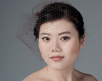 Brown Birdcage Veil Blusher -rhinestone dotted-