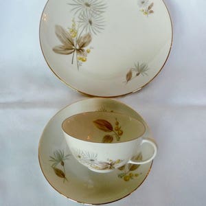 Furstenberg Bavaria Kina Lunch Set: Blommig Kopp, Fat, Tallrik från mitten av århundradet