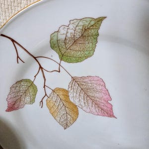 Bavaria Germany Edelstein Blatt Service für 4 Mid-Century 28 Teilig