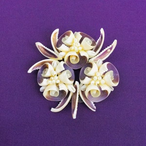 May include: A purple background with a flower-shaped arrangement of white and purple seashells.