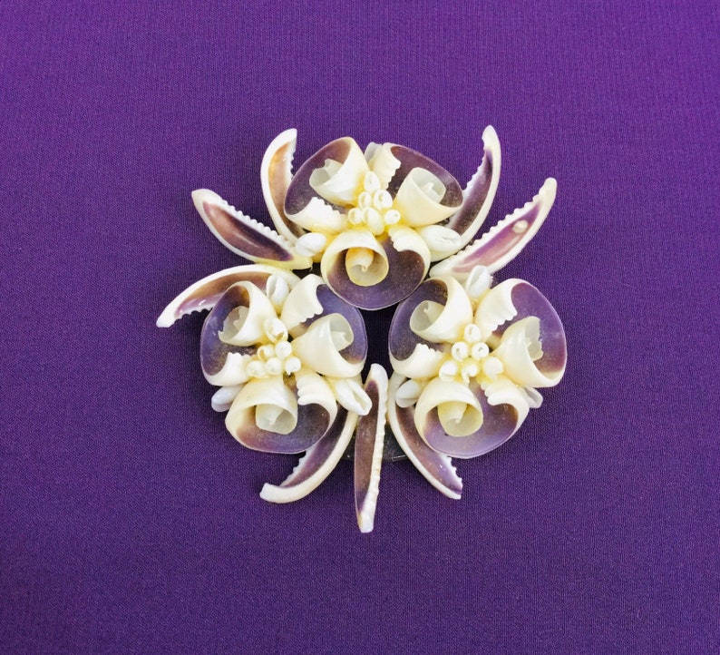 May include: A purple background with a flower-shaped arrangement of white and purple seashells.