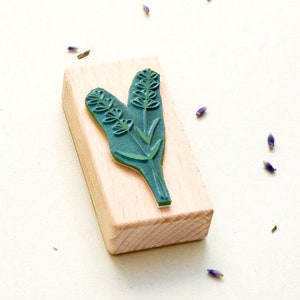 Tampon fleur lavande, tampon pour la cuisine, brindille de lavande, tampon lavande, tampon cuisine, tampon herbes, tampon botanique, tampon jardin, buju