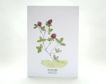 Botanical Greeting Cards Set Wild Herbs Gift For Gardeners