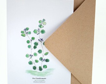 Botanische Grußkarten, Gundermann, Kräuterwanderung, Wildpflanzen, Grußkarte Kräuter, florale Illustration, Geschenk für Gärtner