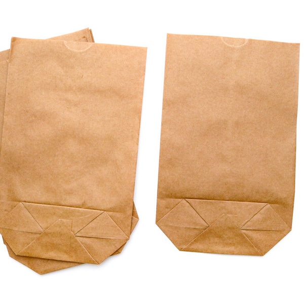 5 large Gift Bags Kraft Paper, flat bags, Wedding Favors