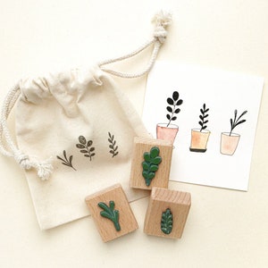 Set di timbri THREE LITTLE TWIGS, un set di timbri botanici con tre mini timbri botanici in una borsa di cotone, timbri Houseplants