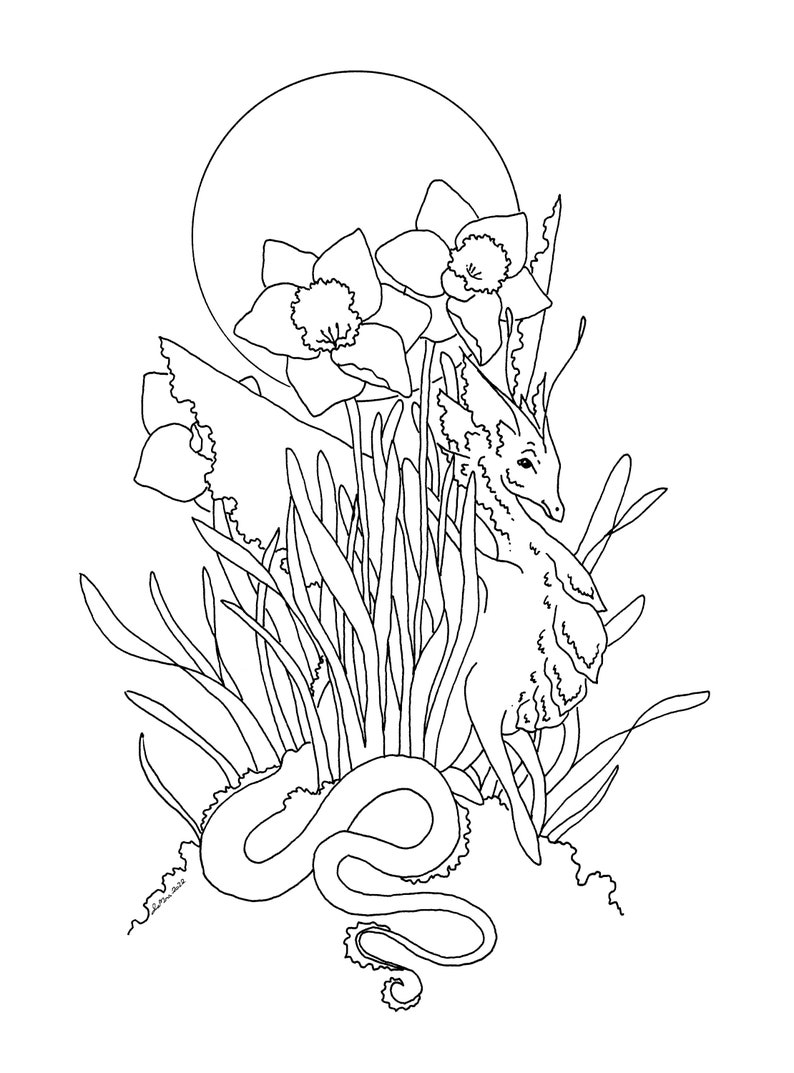 Dragon Art Downloadable Coloring Page fantasy art. flower art. whimsical. image 2