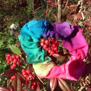 May include: A colorful tie-dye scrunchie with blue, purple, pink, and yellow hues. The scrunchie is tied around a branch of a bush with red berries.