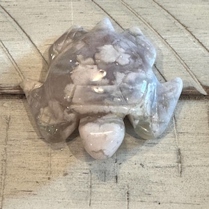 Flower Agate Sea Turtles