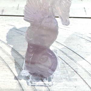 Cute Candy Fluorite Seahorse