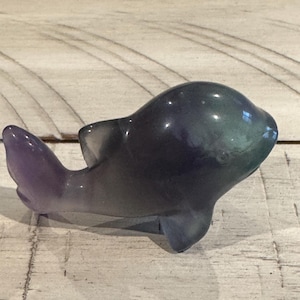 Bright Fluorite Dolphin