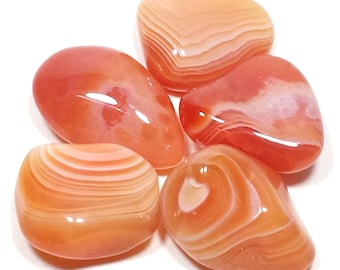 40mm Large Shark Tooth Carnelian Red Agate Orange Creamy Crystal Gemstone Collectibles 20-22 Inch Adjustable Black Cord Steampunkers USA Power Pack Series 40mm Large Shark Tooth Carnelian Red Agate Orange Creamy Crystal Gemstone Collectibles 20-22 Inch Adjustable Black Cord Steampunkers USA Power Pack Series