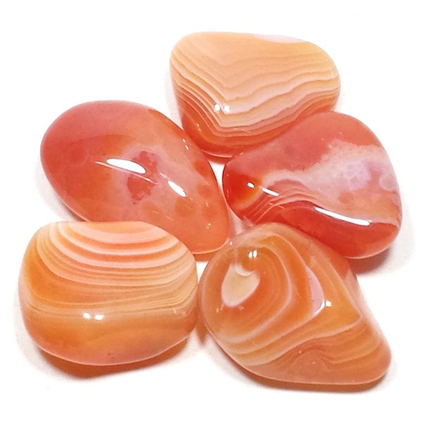 Apricot Orange Botswana Agate Tumbled Polished Crystal Stone, 5 Piece Set, Avg Size 0.83 Inch
