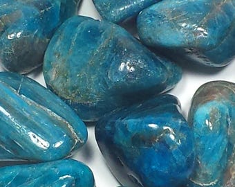 Blue Apatite Tumbled Polished Crystal Stones, Lot of 8 oz, Avg Size 1.4 Inch, Size Range 1.1-1.7 Inch