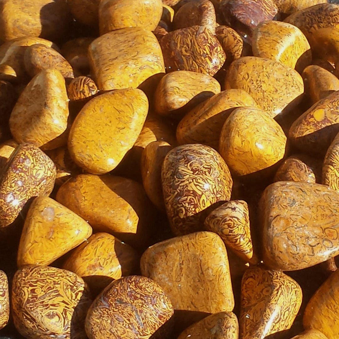 Tumbled Script Stone Fossil Script Partially Polished Tumbled Sanskrit Stones, 2.5 Lb Lot ...