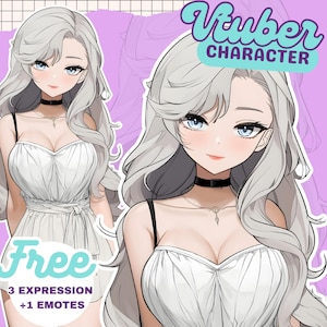 Custom VTuber Model Commission with Rigging Assets - Anime Art PNGTuber Design for Male & Female Streamers