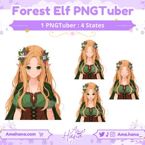 PNGTUBER | Forest Elf PNGTuber, Ready to Use PNGTube model, PNGTuber Model, PNG Tuber, PNGTuber for Streaming, Stream Asset, PremadePNGTuber