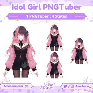 PNGTUBER | Idol Girl Model, Ready to Use PNGTube model, PNGTuber Model, PNG Tuber, PNGTuber for Streaming, Stream Assets, Idol PNGTuber