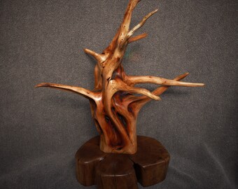 Fine Art Abstract Wood Sculpture Bonsai Manzanita Root & Madrone Handcrafted Oregon 5th Wedding Anniversary Gift Home Office Decor Wood Art