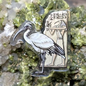 Thoth Ibis Acrylic Pin: Egyptian God, Recycled Materials