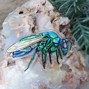 Acrylic Pin - Chrysididae Cuckoo Wasp - Made with Recycled Materials - Wasp Bee Pollination Pollinator Garden Plants Leaves Artwork