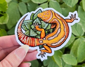 May include: A sticker featuring a cartoon gecko with orange and yellow stripes, perched on a green succulent plant. The gecko has a white belly and black eyes.