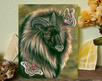Himalayan Tahr and Cecropia Moths -  Fine Art Print- Wild Goat Sheep - By Laura Airey Le - Nature New Zeland Metaphysical Majestic Animal