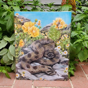 Hognose Snake Art Print: Spring Flowers, Cactus, Bees - Signed Limited Edition