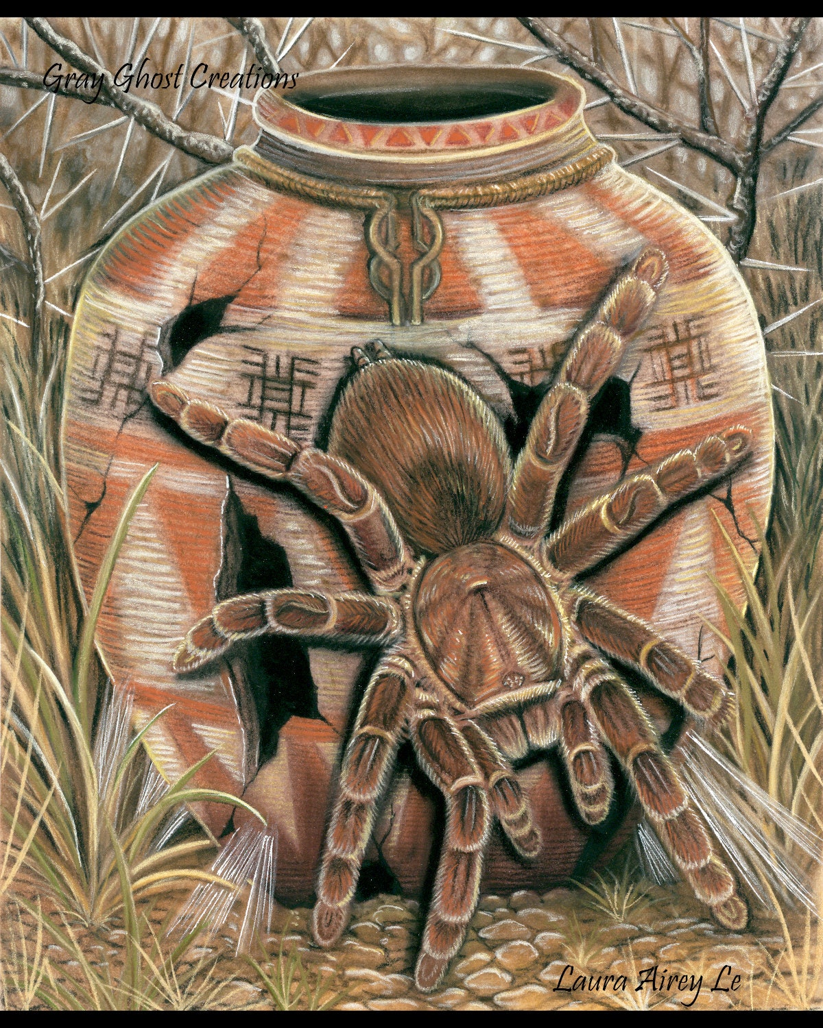 Anansi The Spider