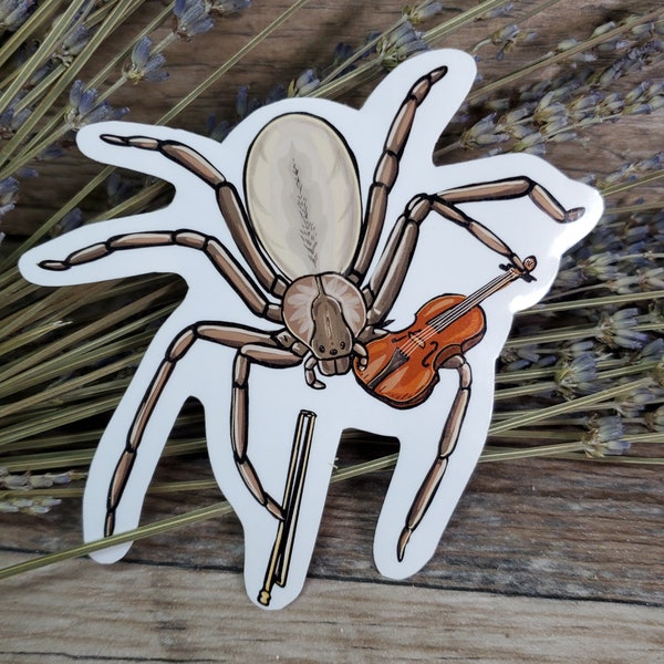 Brown Recluse with a Violin or Fiddle Sticker - 4 inch glossy sticker - Insect How to Tell a Recluse Bug Venom Art Drawing Spider Tarantula