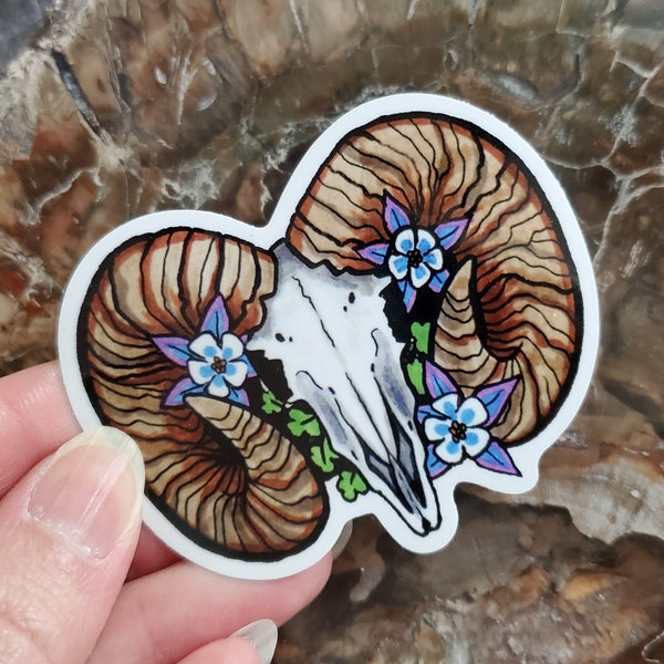 Rocky Mountain Big Horn Sheep Skull and Columbine Sticker - 2.75 inch glossy sticker - Art Drawing Forest Floor Flowers Goat Waterproof