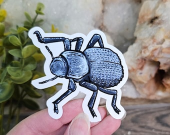 Asbolus verrucosus Blue Death Feigning Beetle Sticker - 3.5 inch glossy waterproof sticker -   Insect Bug Arachnid BDFB