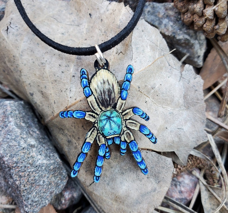 Socotra Island Blue Baboon Tarantula Monocentropus balfouri Wooden Pendant and Necklace image 1