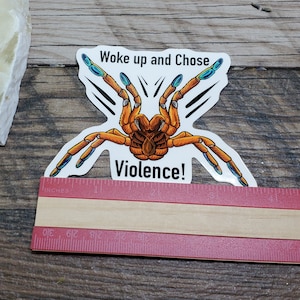 Woke up and Chose Violence OBT Orange Baboon Tarantula Sticker 3.75 inch glossy sticker Insect Bug Arachnid Pterinochilus murinus image 5