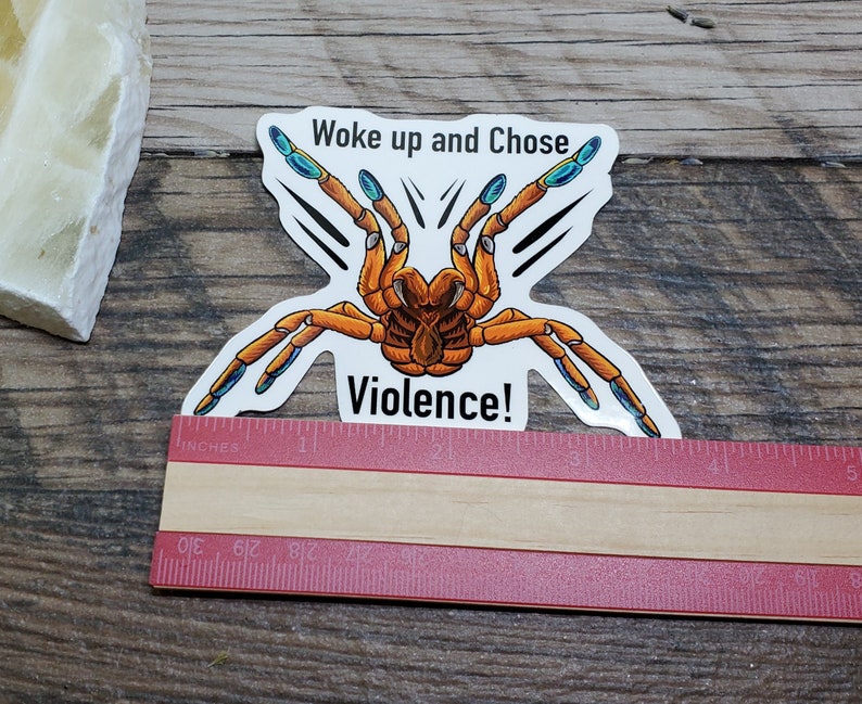 Woke up and Chose Violence OBT Orange Baboon Tarantula Sticker 3.75 inch glossy sticker Insect Bug Arachnid Pterinochilus murinus image 5