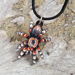 Mexican Red Knee Tarantula Brachypelma hamorii Wooden Pendant and Necklace One Necklace You Pick the Color Smithi Spider Gift image 3