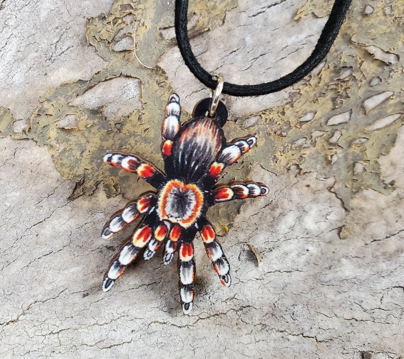 Mexican Red Knee Tarantula Brachypelma hamorii Wooden Pendant and Necklace One Necklace You Pick the Color Smithi Spider Gift image 3