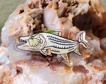 Acrylic Pin - African Tiger Fish - Made with Recycled Materials - Tanzania Tigerfish Nile Freshwater River Monster Monsters