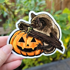 Little Brown Bat with a Carved Pumpkin Sticker - 3.75 inch glossy sticker - Happy Bat Halloween Waterproof Art Drawing Batty Bats Cute