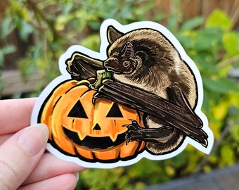 Little Brown Bat with a Carved Pumpkin Sticker - 3.75 inch glossy sticker - Happy Bat Halloween Waterproof Art Drawing Batty Bats Cute