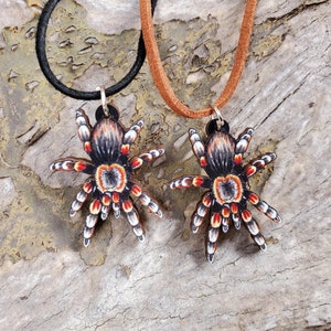 Mexican Red Knee Tarantula Brachypelma hamorii Wooden Pendant and Necklace One Necklace You Pick the Color Smithi Spider Gift image 5