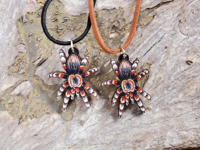 Mexican Red Knee Tarantula Brachypelma hamorii Wooden Pendant and Necklace One Necklace You Pick the Color Smithi Spider Gift image 5
