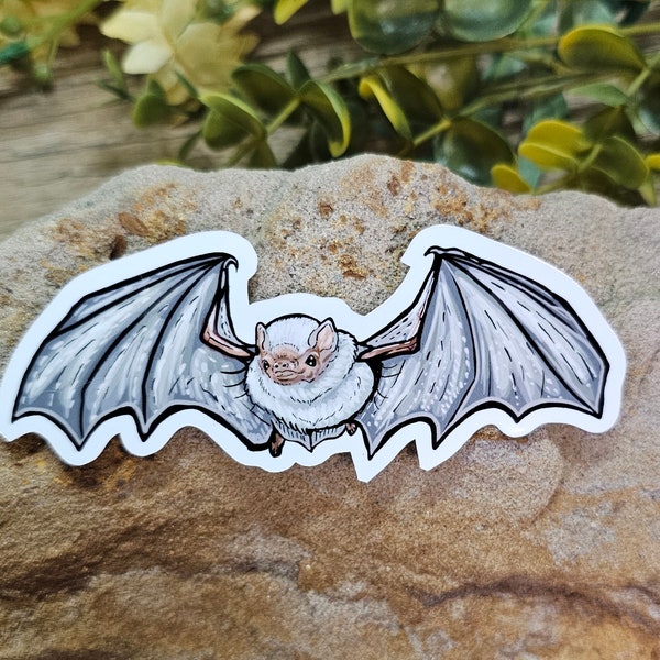 Northern Ghost Bat Sticker: 4" Glossy Waterproof Vinyl
