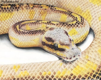 Pastel Highway - Fine Art Print- Ball Python - By Laura Airey Le - Ball Python Morph Royal Reptile Snake